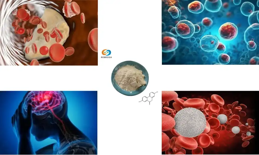 What is urolithin a? What is urolithin a?